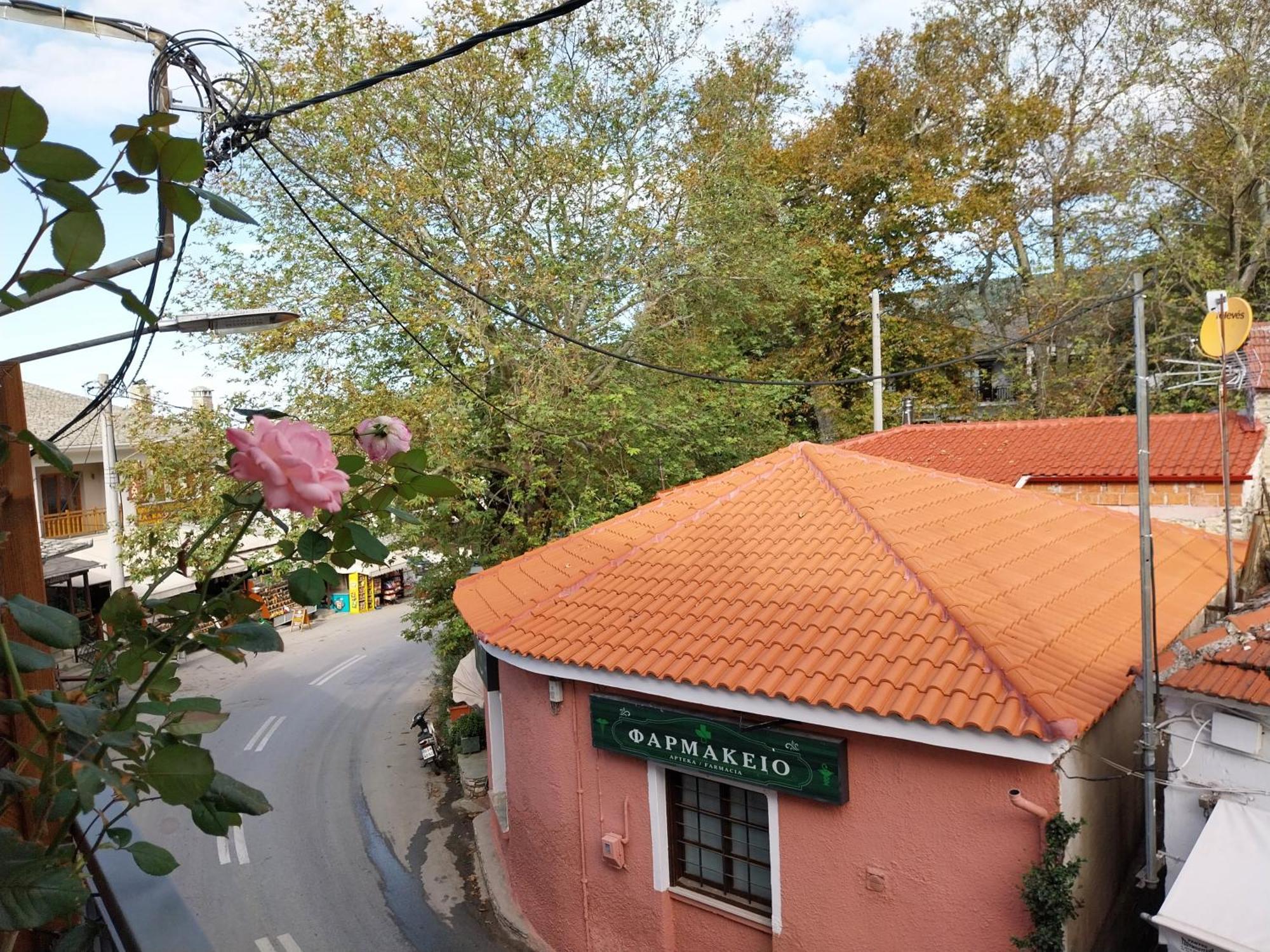 Marousos Central Guesthouse Portariá Eksteriør billede